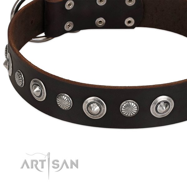 Exceptional adorned dog collar of fine quality full grain leather