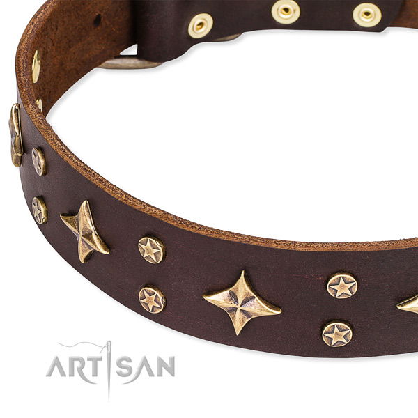 Stylish walking studded dog collar of durable genuine leather
