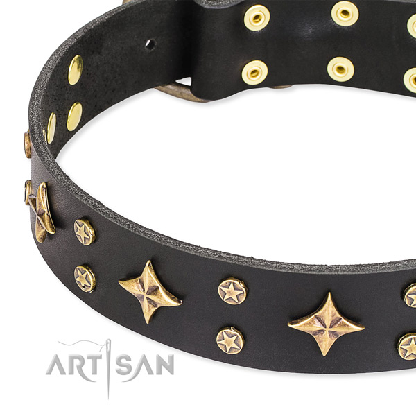Handy use embellished dog collar of fine quality full grain natural leather