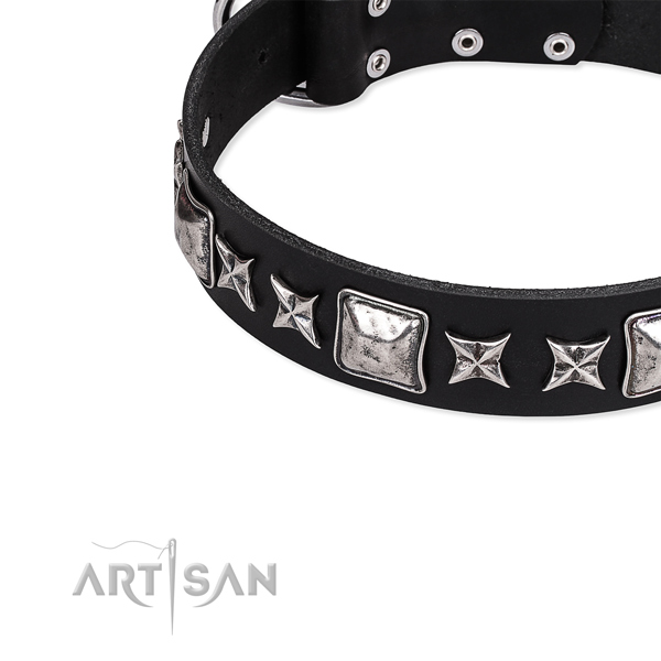 Everyday walking embellished dog collar of fine quality full grain leather