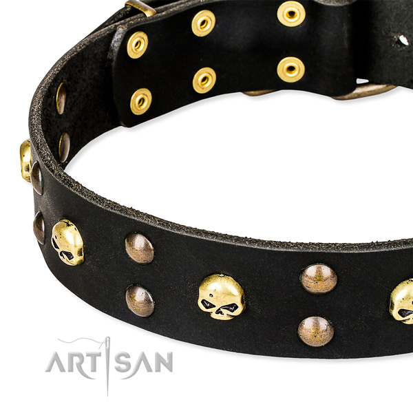 Stylish walking studded dog collar of strong genuine leather