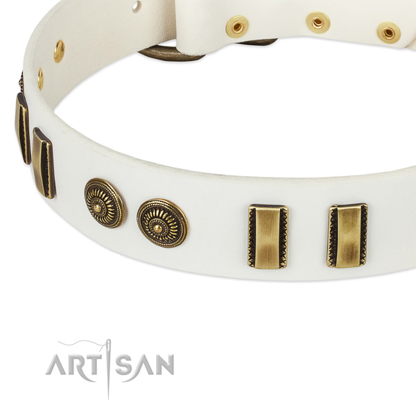 Corrosion resistant decorations on full grain leather dog collar for your four-legged friend