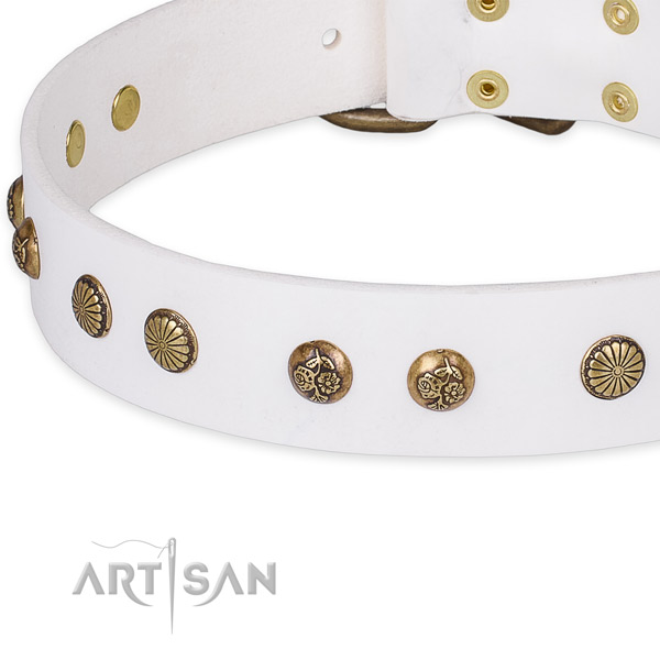 Full grain genuine leather collar with corrosion proof traditional buckle for your lovely pet