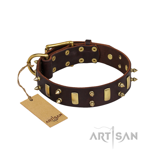 Comfy wearing dog collar of reliable leather with embellishments