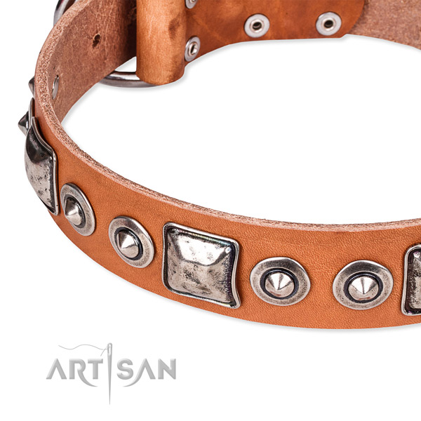 Best quality genuine leather dog collar made for your beautiful dog