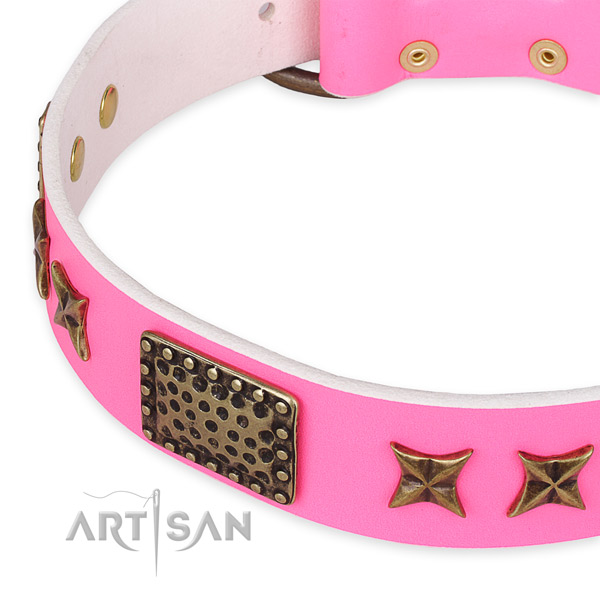 Full grain natural leather collar with reliable hardware for your impressive dog