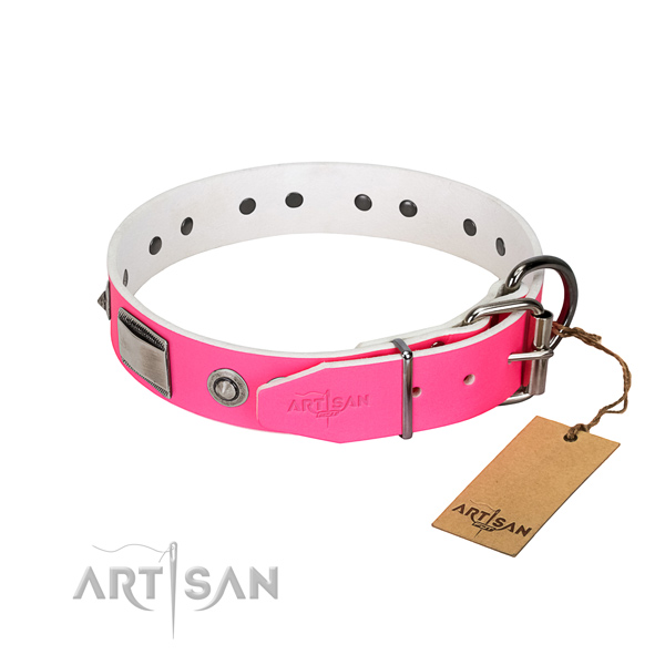 Top notch dog collar of full grain leather with embellishments