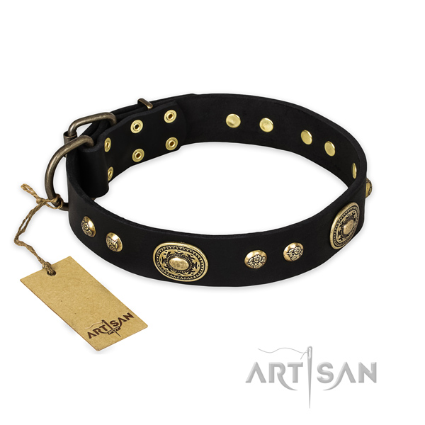 Studded full grain natural leather dog collar with corrosion proof hardware