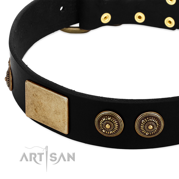 Durable traditional buckle on full grain genuine leather dog collar for your four-legged friend