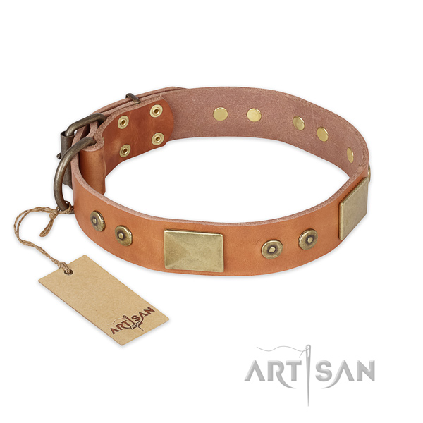 Unusual full grain genuine leather dog collar for basic training