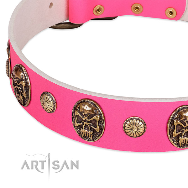 Rust resistant buckle on full grain natural leather dog collar for your canine