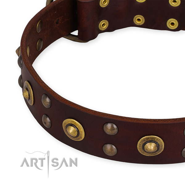 Full grain natural leather collar with strong hardware for your handsome dog