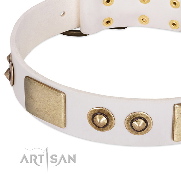 Rust-proof fittings on full grain natural leather dog collar for your pet