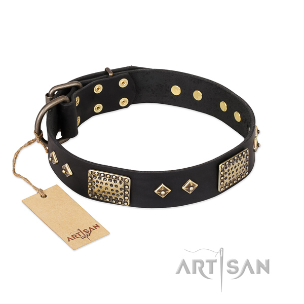 Best quality full grain leather dog collar for easy wearing