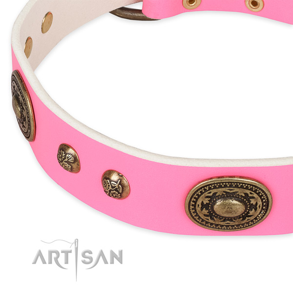 Studded full grain leather collar for your lovely pet