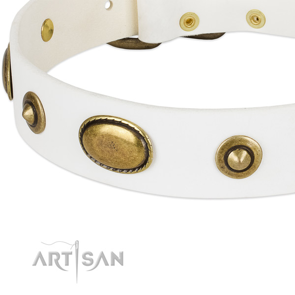 Rust resistant adornments on full grain natural leather dog collar for your pet