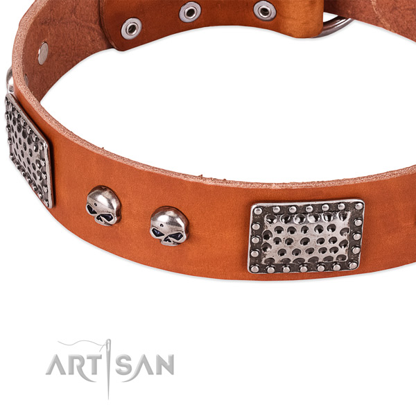 Rust resistant buckle on full grain genuine leather dog collar for your canine