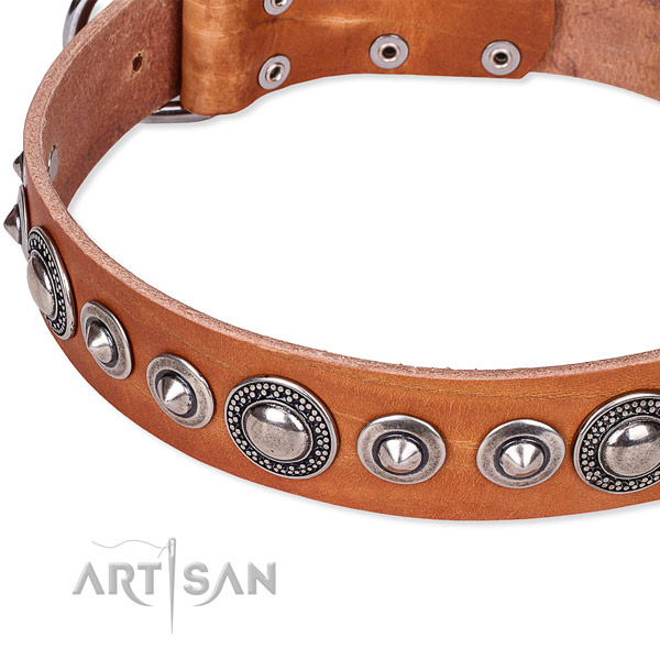 Fancy walking adorned dog collar of reliable full grain leather