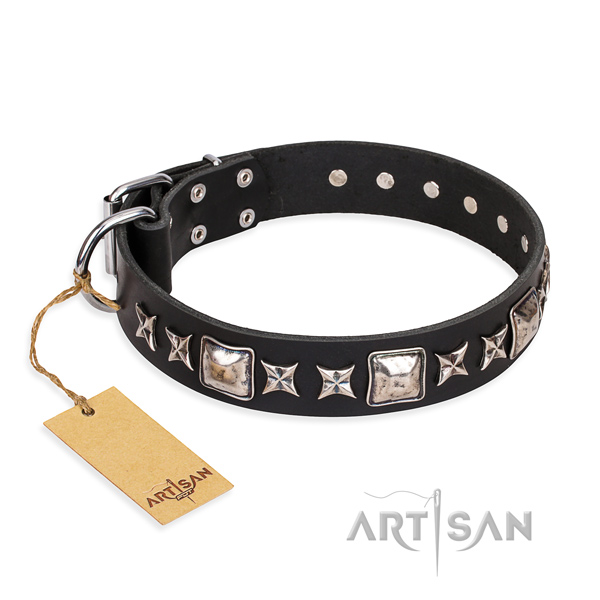 Everyday walking dog collar of top notch full grain genuine leather with studs