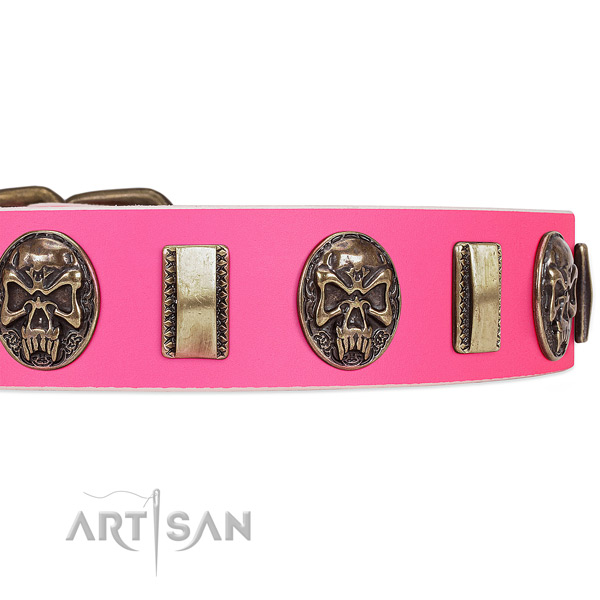 Rust-proof embellishments on genuine leather dog collar for your dog