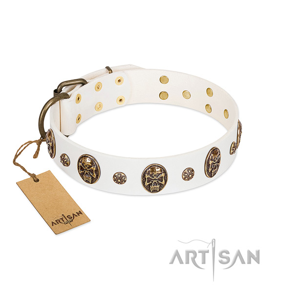 Incredible genuine leather collar for your dog