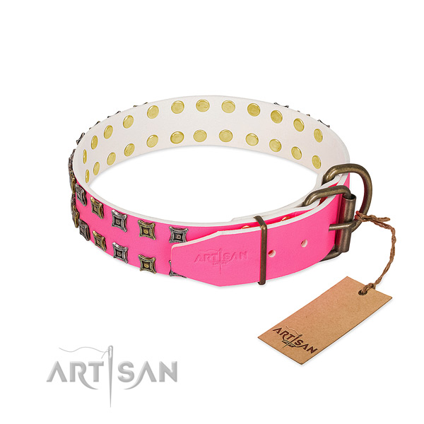 Natural leather collar with fashionable adornments for your pet