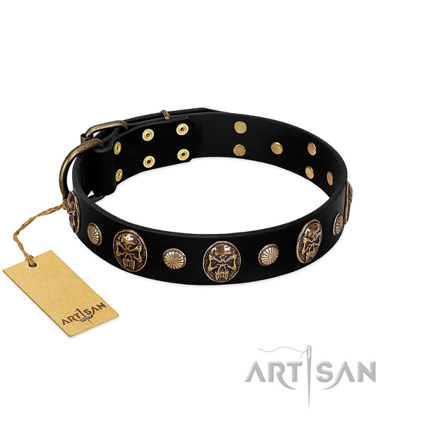 Full grain genuine leather dog collar with corrosion resistant studs