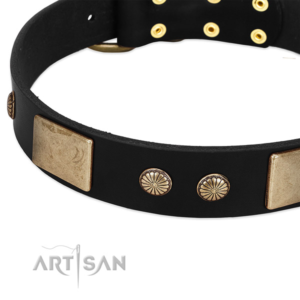 Genuine leather dog collar with adornments for easy wearing