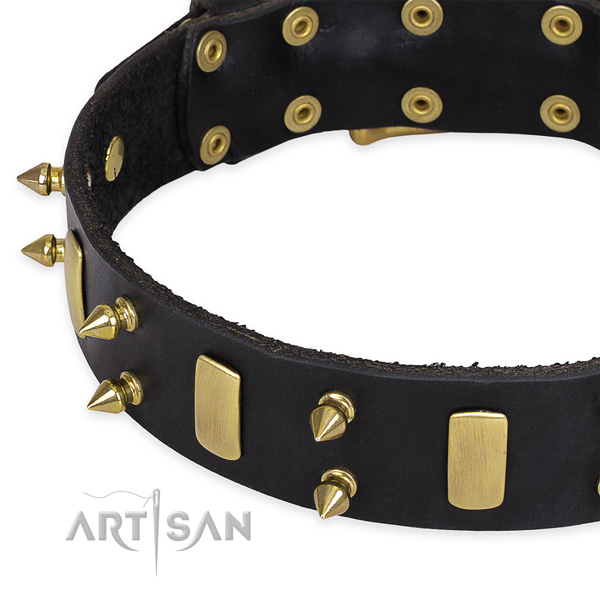 Walking adorned dog collar of top notch full grain natural leather