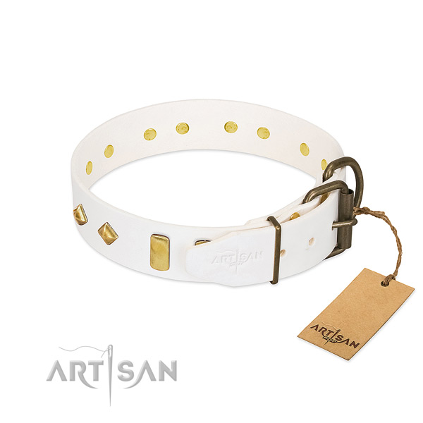 Top rate natural leather dog collar with rust-proof hardware