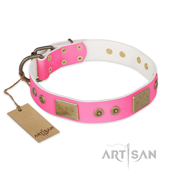 Easy wearing full grain leather dog collar for walking your four-legged friend