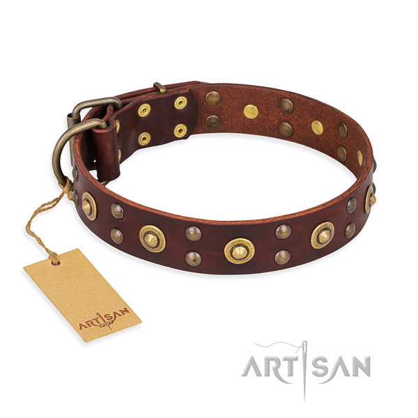 Adorned full grain leather dog collar with reliable traditional buckle