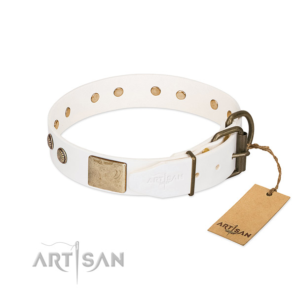Durable D-ring on walking dog collar