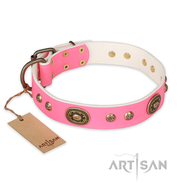 Stylish design genuine leather dog collar for everyday use