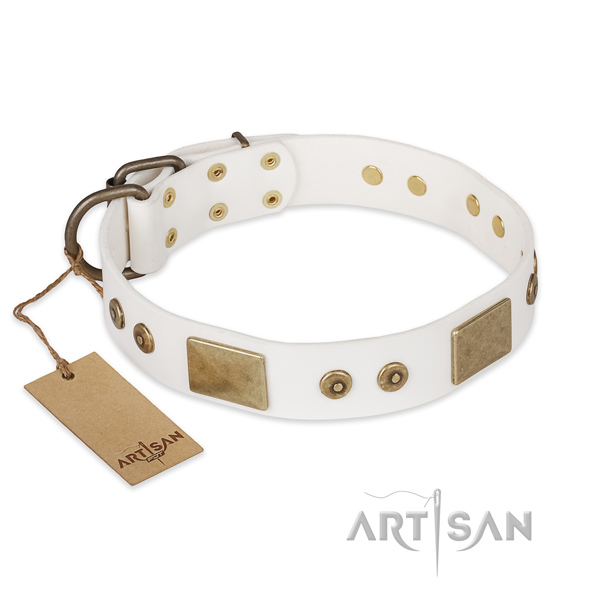 Significant full grain leather dog collar for everyday use