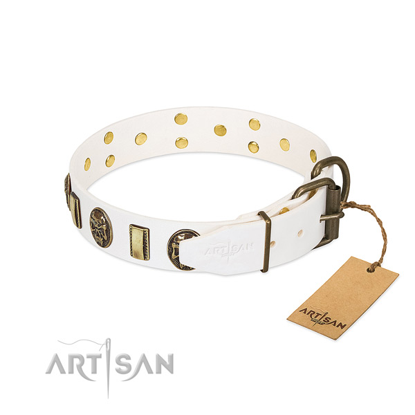 Reliable fittings on full grain natural leather collar for basic training your four-legged friend