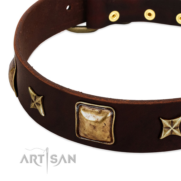 Reliable decorations on full grain leather dog collar for your doggie