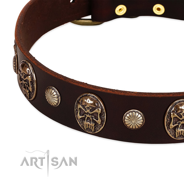 Full grain natural leather dog collar with adornments for stylish walking