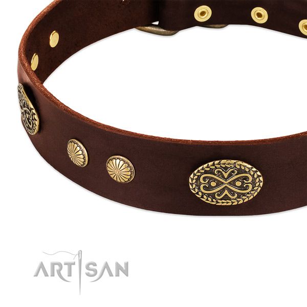 Corrosion proof fittings on full grain leather dog collar for your canine