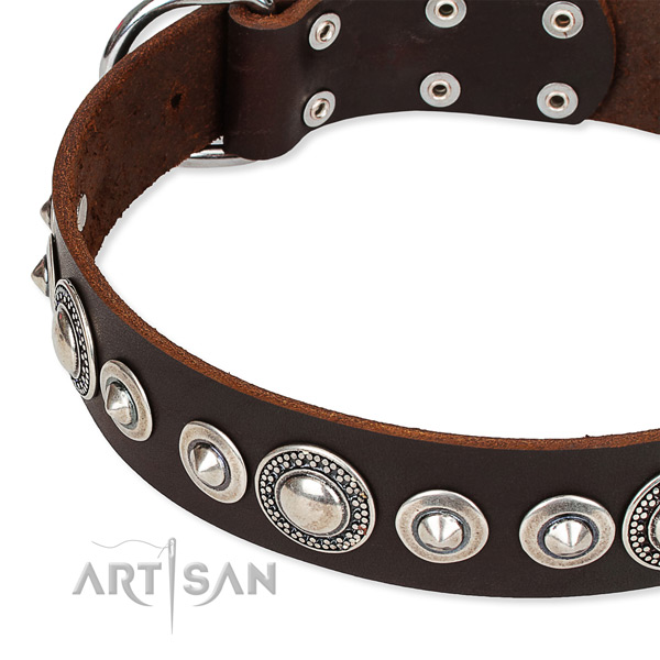 Comfy wearing studded dog collar of fine quality full grain leather