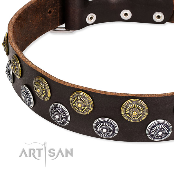 Basic training decorated dog collar of high quality full grain natural leather