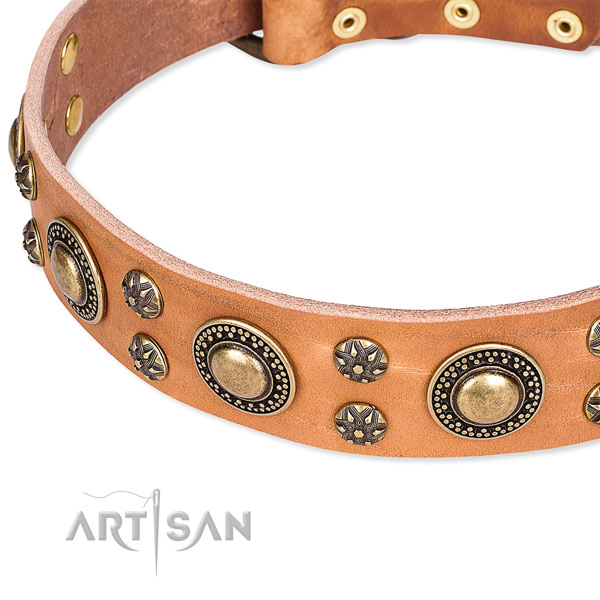 Easy wearing decorated dog collar of quality full grain natural leather