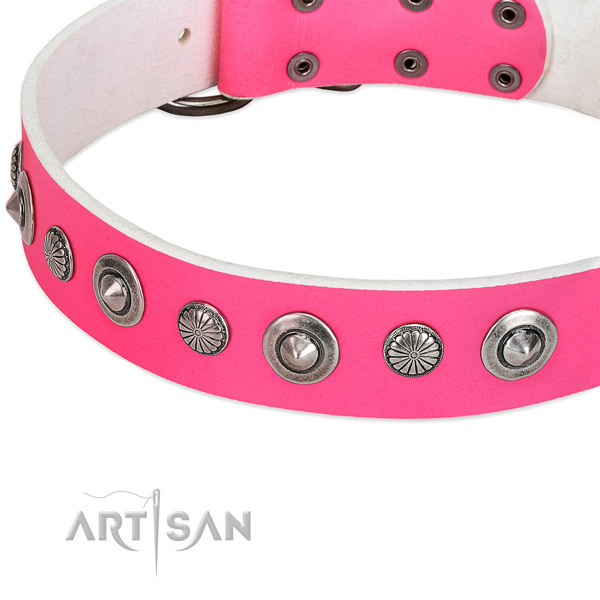 Full grain genuine leather collar with rust-proof fittings for your stylish four-legged friend
