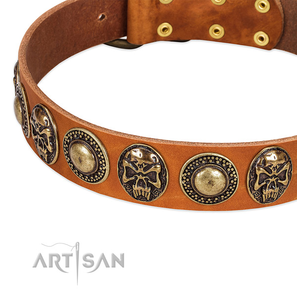 Corrosion resistant traditional buckle on natural leather dog collar for your pet