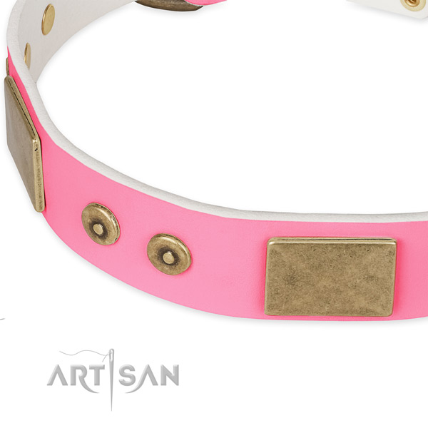 Full grain natural leather dog collar with studs for stylish walking