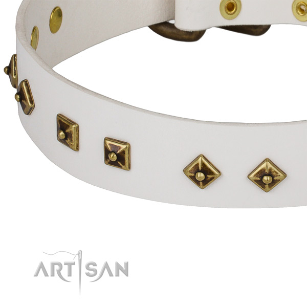 Adjustable leather collar for your lovely dog