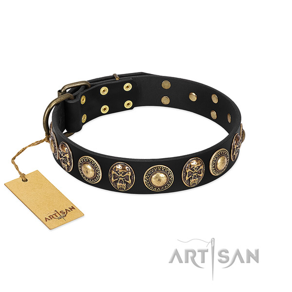 Adjustable full grain leather dog collar for everyday walking your canine