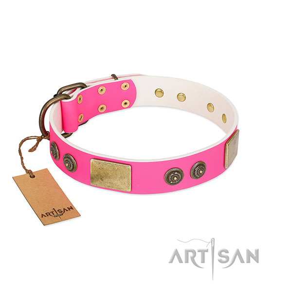 Impressive full grain genuine leather dog collar for everyday walking