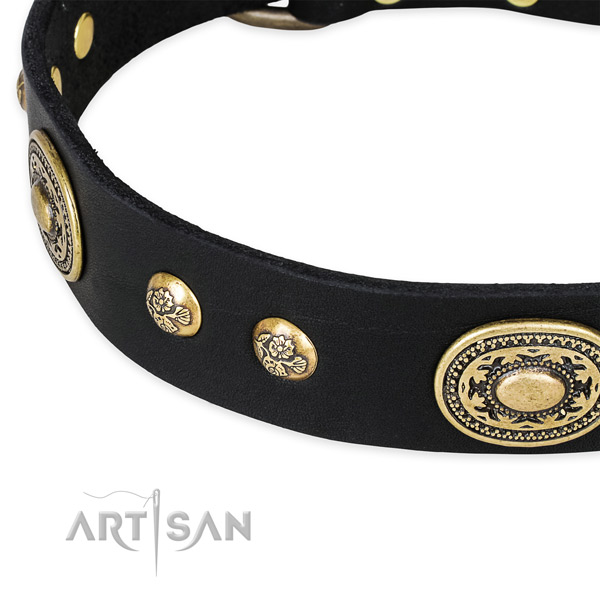 Fashionable full grain genuine leather collar for your attractive four-legged friend
