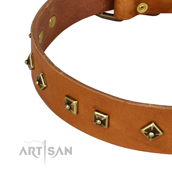Remarkable natural leather collar for your beautiful doggie